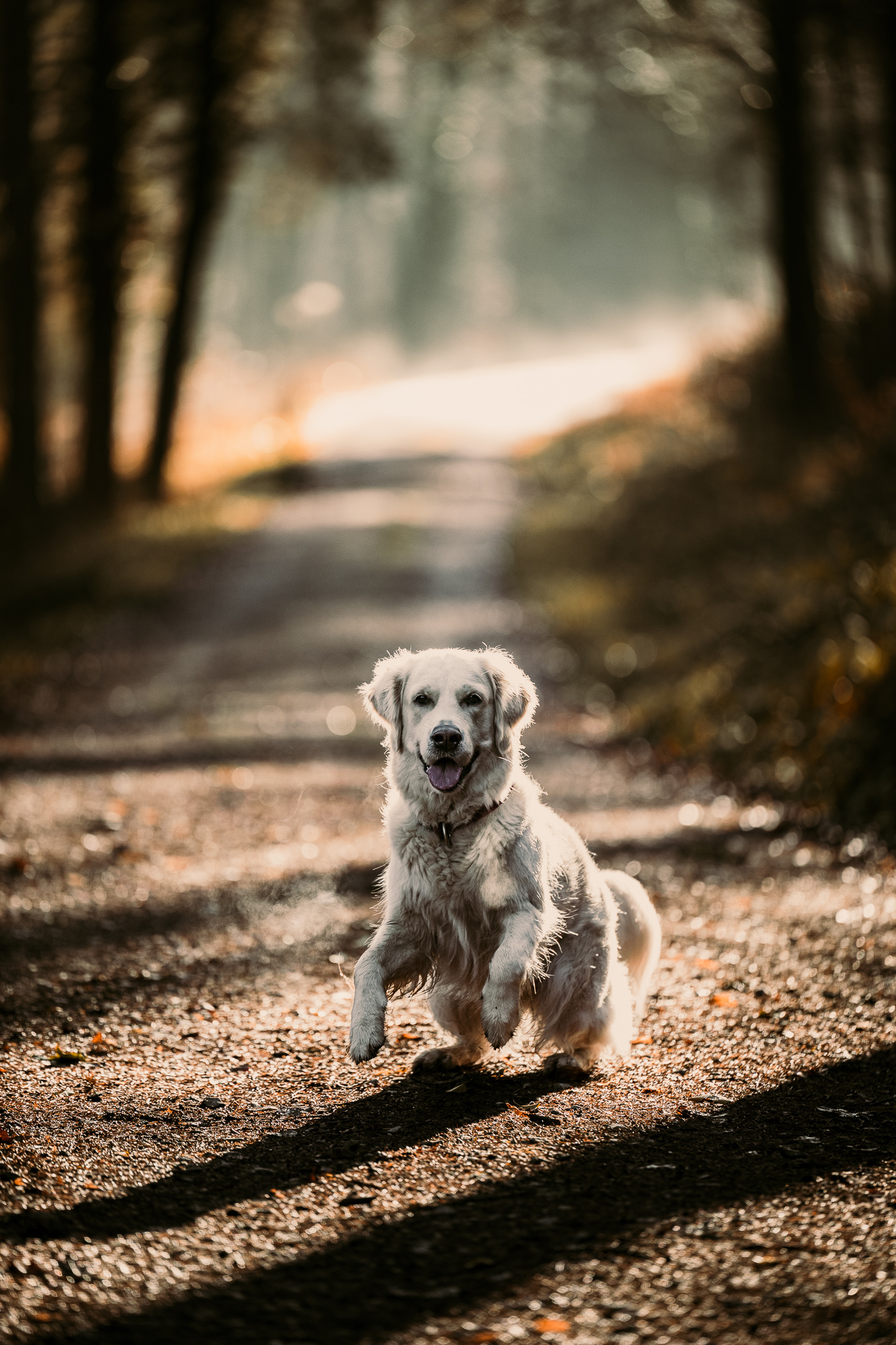 2024 01 27 Spaziergang 12