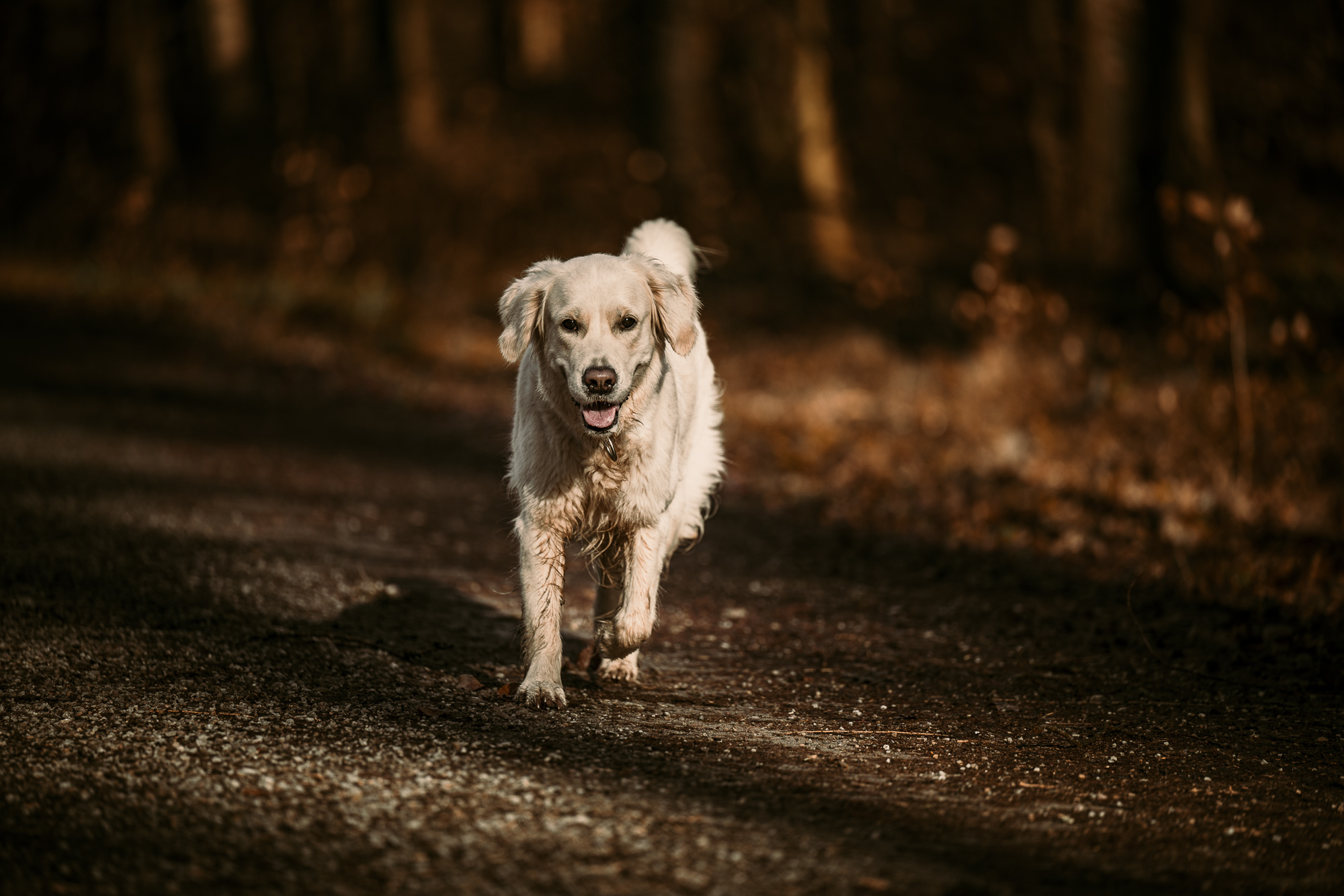 2024 01 27 Spaziergang 1